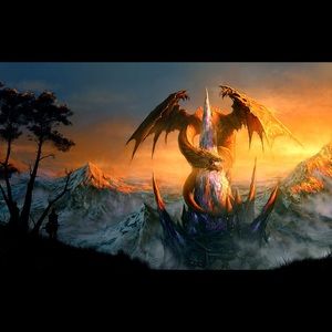 Meet your Posher, Bonnie